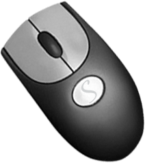 [Computer Mouse]